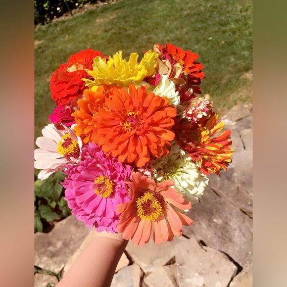 Meet your Posher, Kailey - Picture 6 of 7